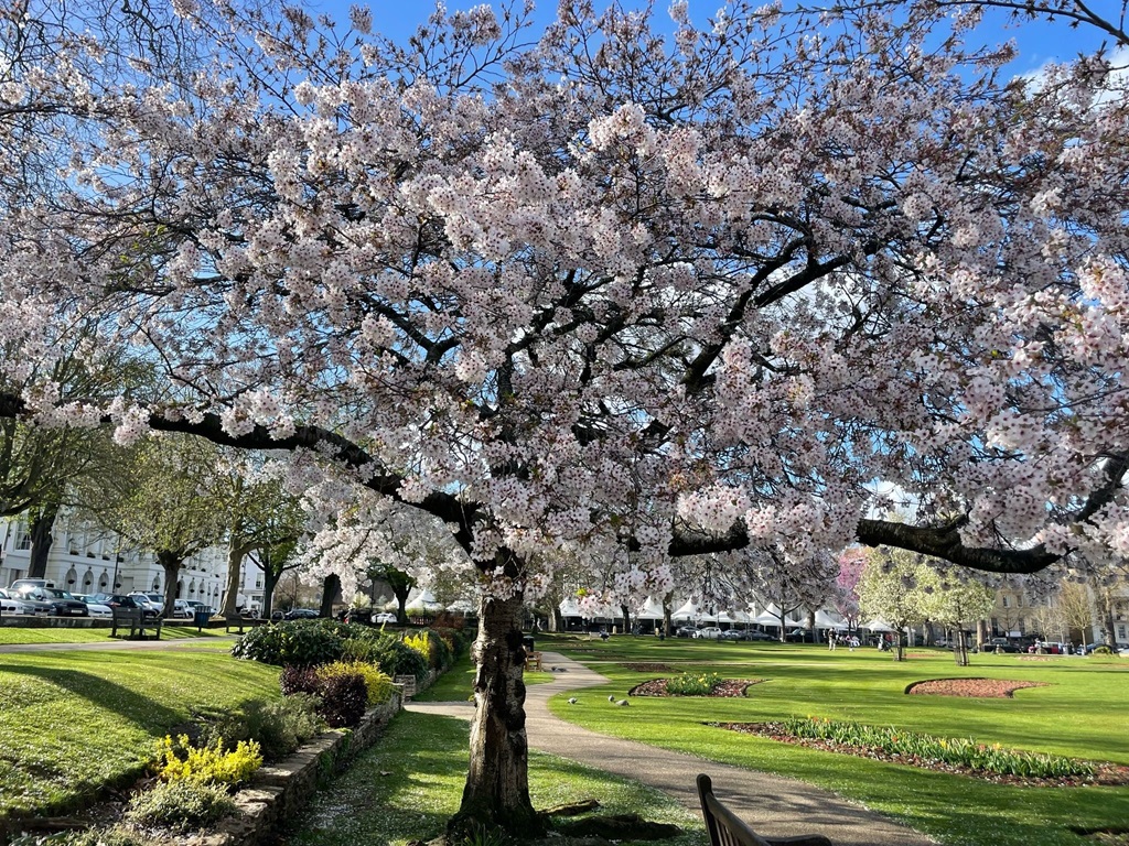 What you need to know about Hidden Gems in Swindon